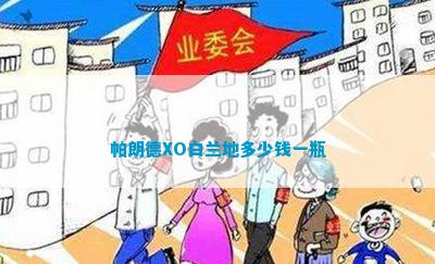 南宫NG28官方网站帕朗德XO白兰地多少钱一瓶(图4)